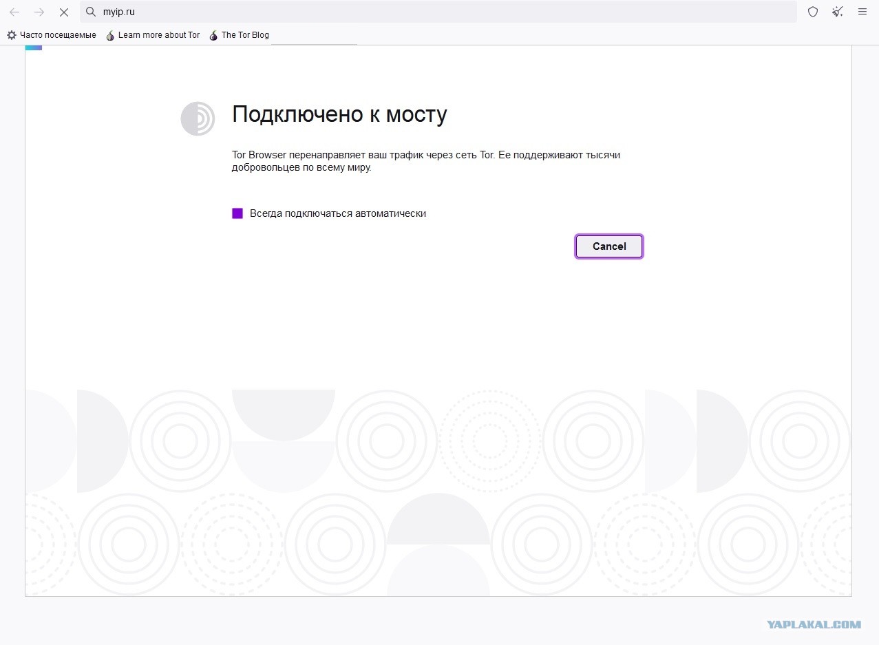 Кракен мп