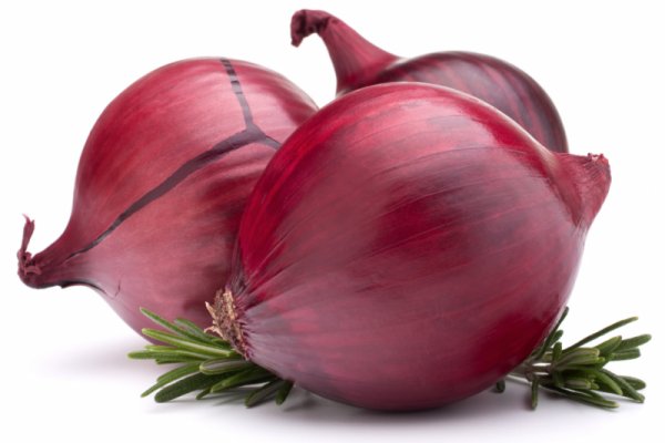 Tor сайты mega