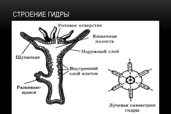 Кракен войти kraken darknet 2n com