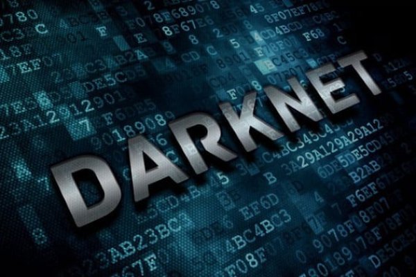 Kraken найдется все