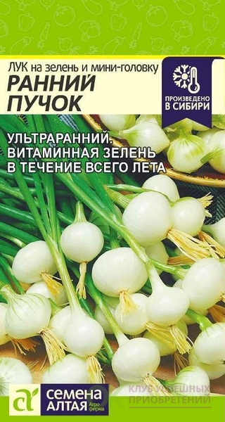 Ссылка на матангу даркнет