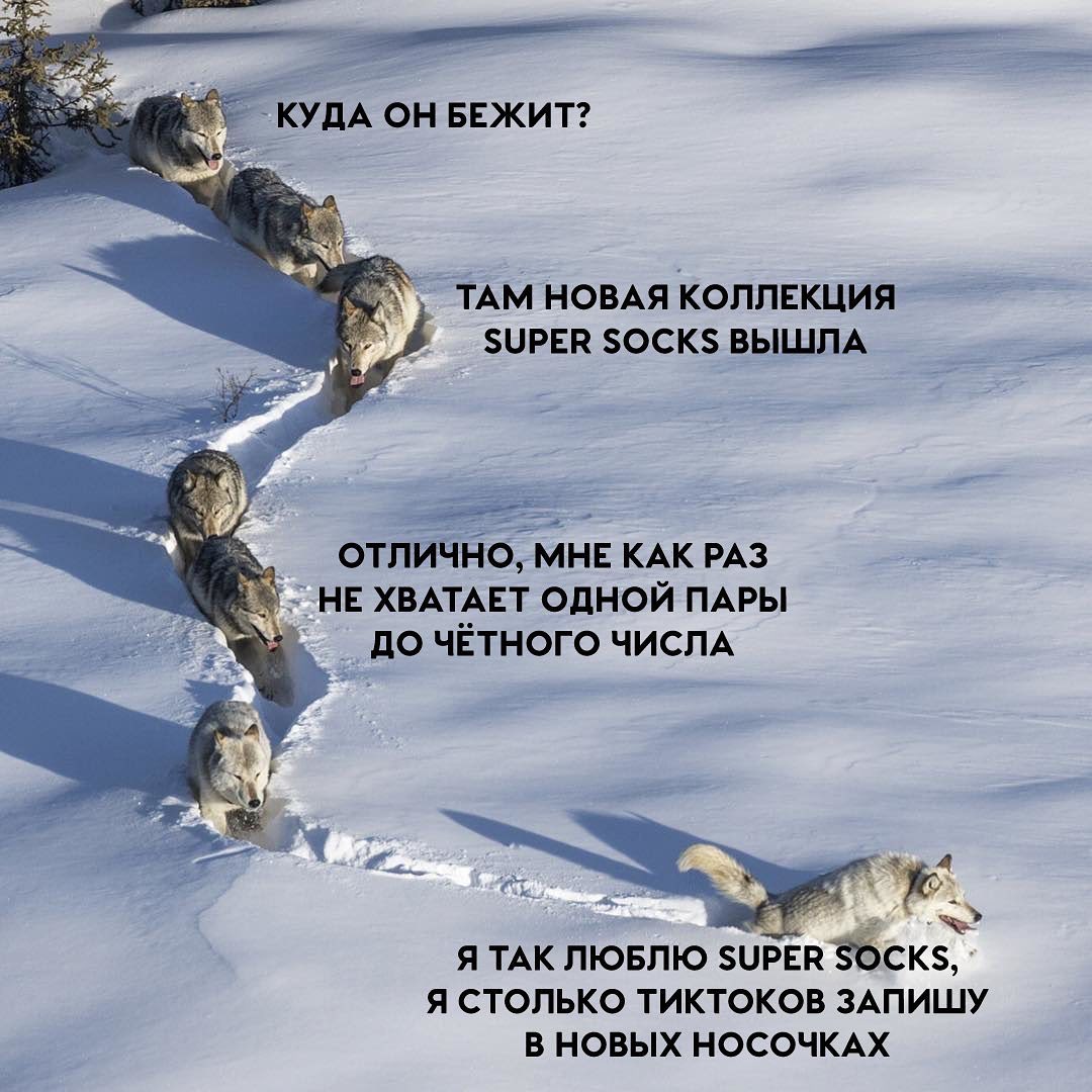 Ramp ссылка тор ramponion com